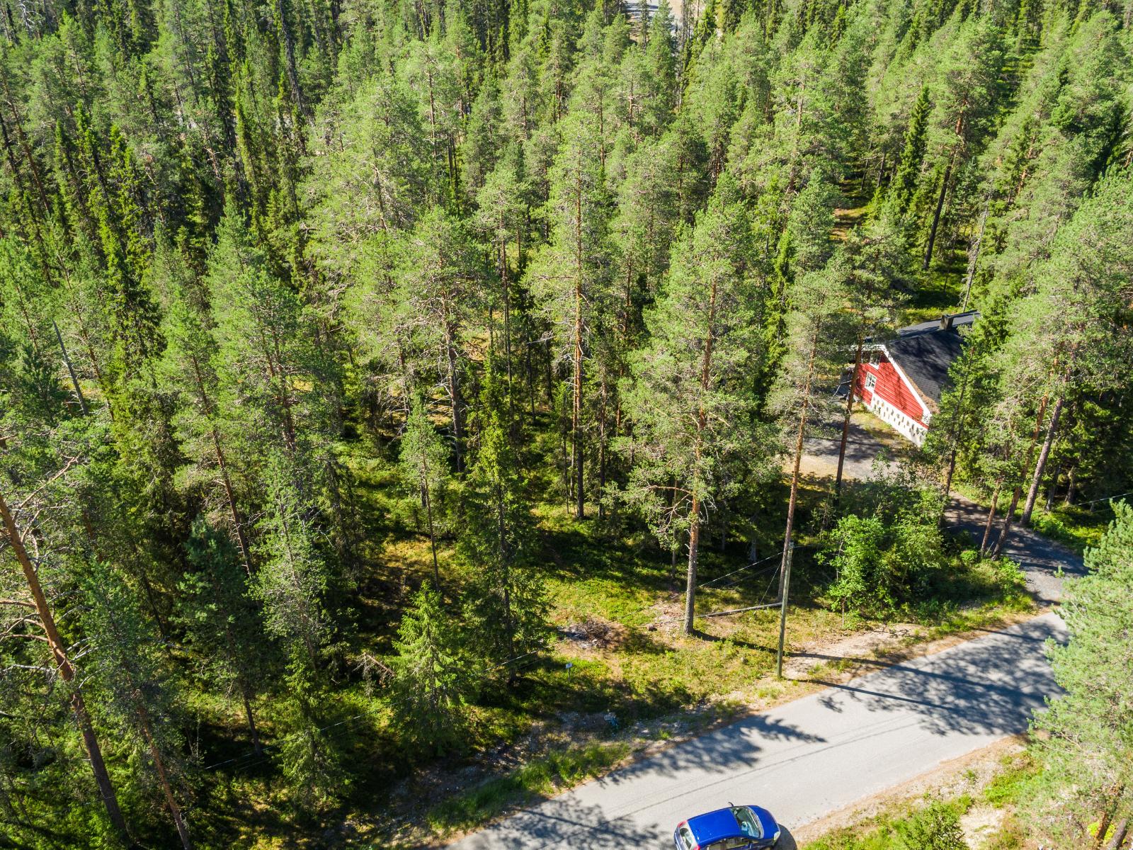 Kesäinen ilmakuva tonttialueesta, Muutamalle tontille on jo rakennettu.