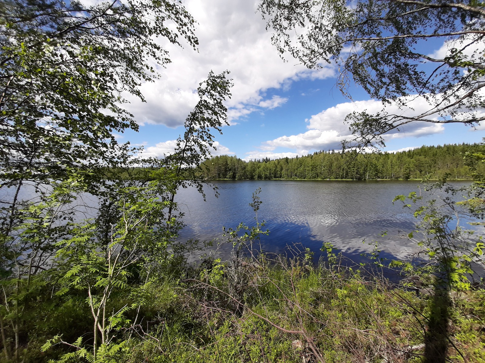 Rannassa kasvavat puut reunustavat kesäistä järvimaisemaa. Puolipilvinen taivas heijastuu veteen.