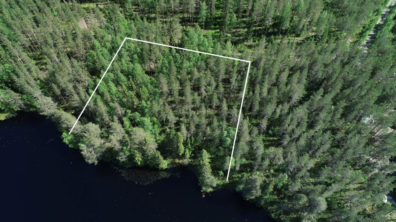 Tontin kaava piirrettynä kesäisen metsän ylle järven rantaan. Ilmakuva.