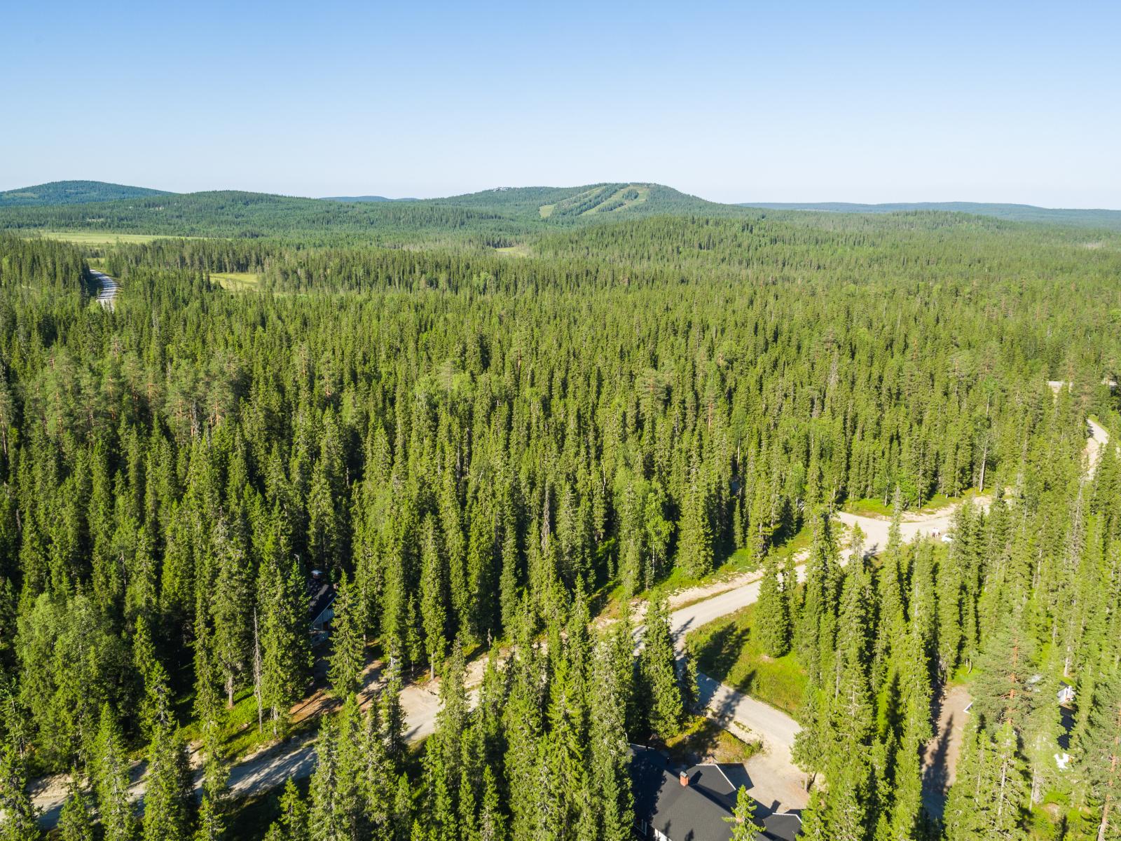 Mökkitie haarautuu kuusivaltaisessa metsässä. Horisontissa kohoaa tunturimaisema. Ilmakuva.