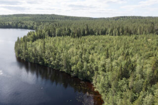 Ilmakuva alueesta