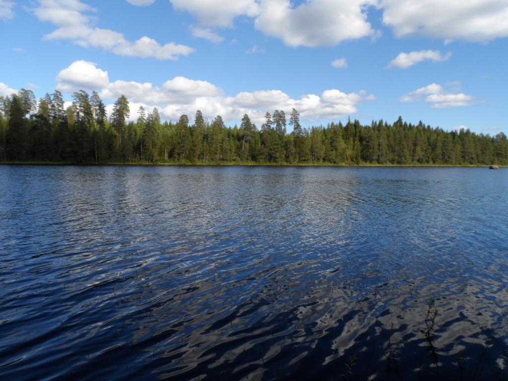 Kesäisessä järvimaisemassa puolipilvinen taivas heijastuu väreilevään veteen.