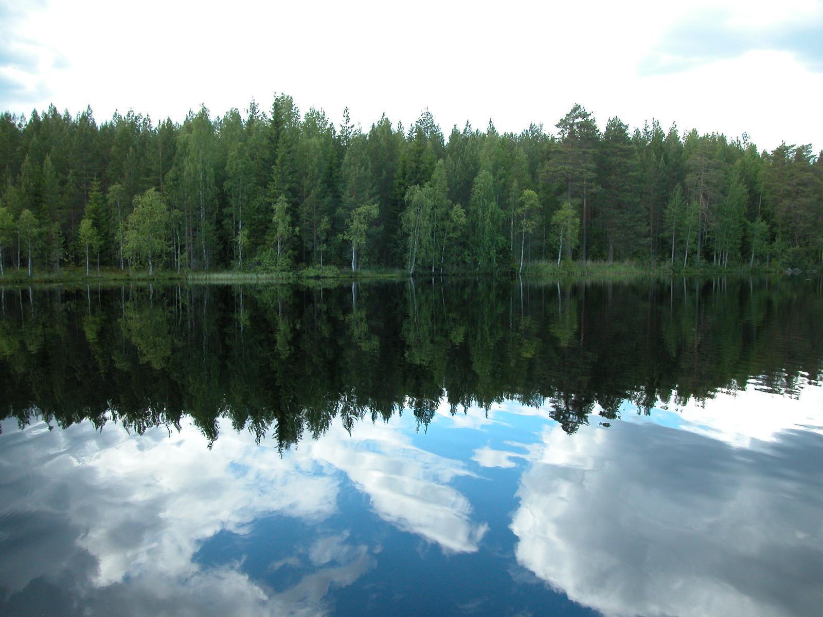 Järveä reunustava kesäinen sekametsä ja puolipilvinen taivas heijastuvat tyyneen veteen.