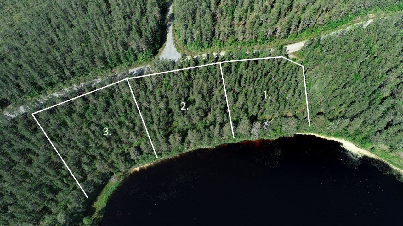 Kolmen tontin kaavat piirrettynä metsän ylle järven rantaan. Tie kulkee tonttien ohi. Ilmakuva.
