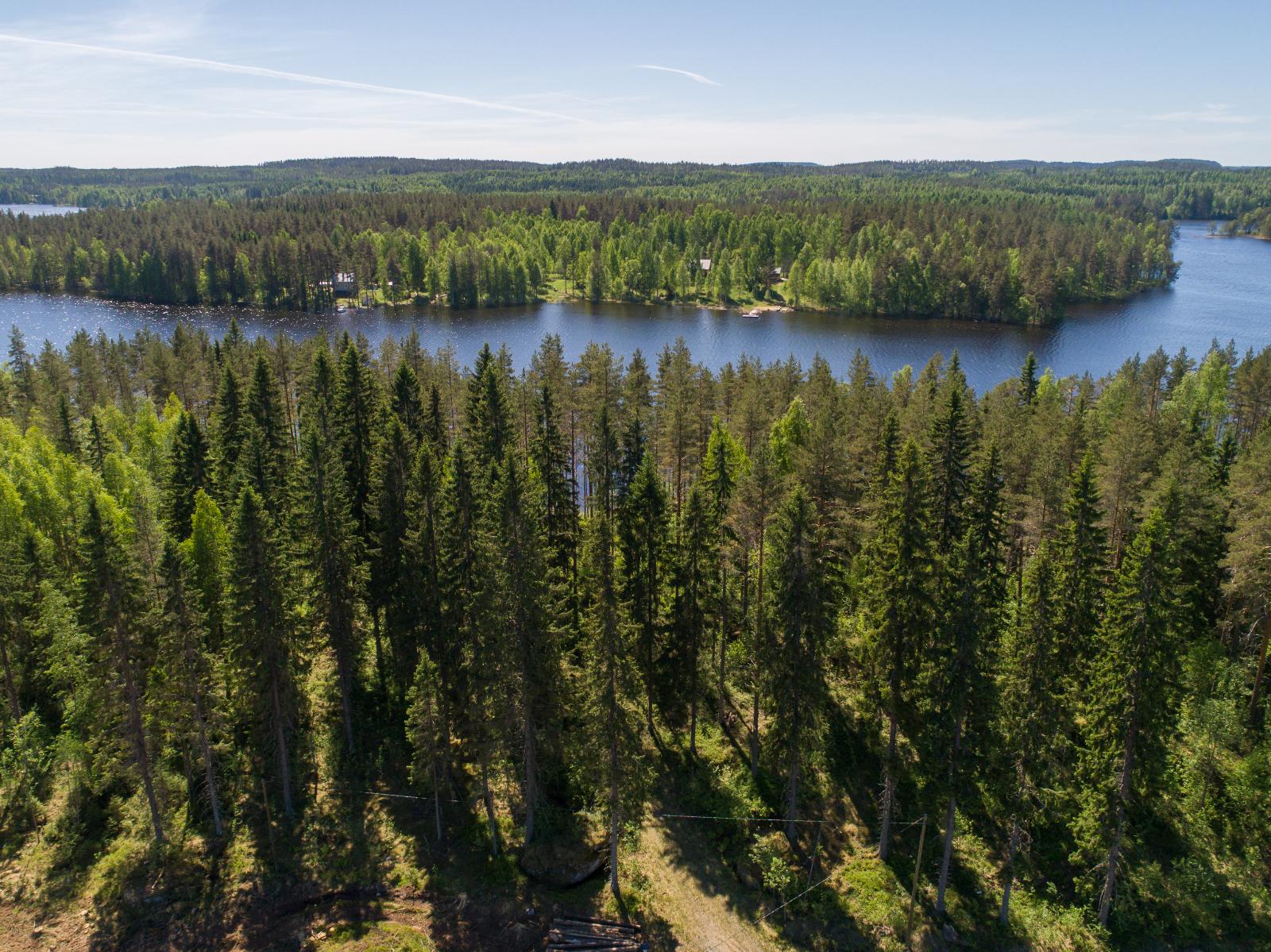 Kesäinen sekametsä ympäröi järveä, jonka rannalla on rakennuksia. Ilmakuva.