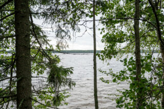 Kuusien ja lehtipuiden takaa näkyy harmaana aaltoileva järvi.