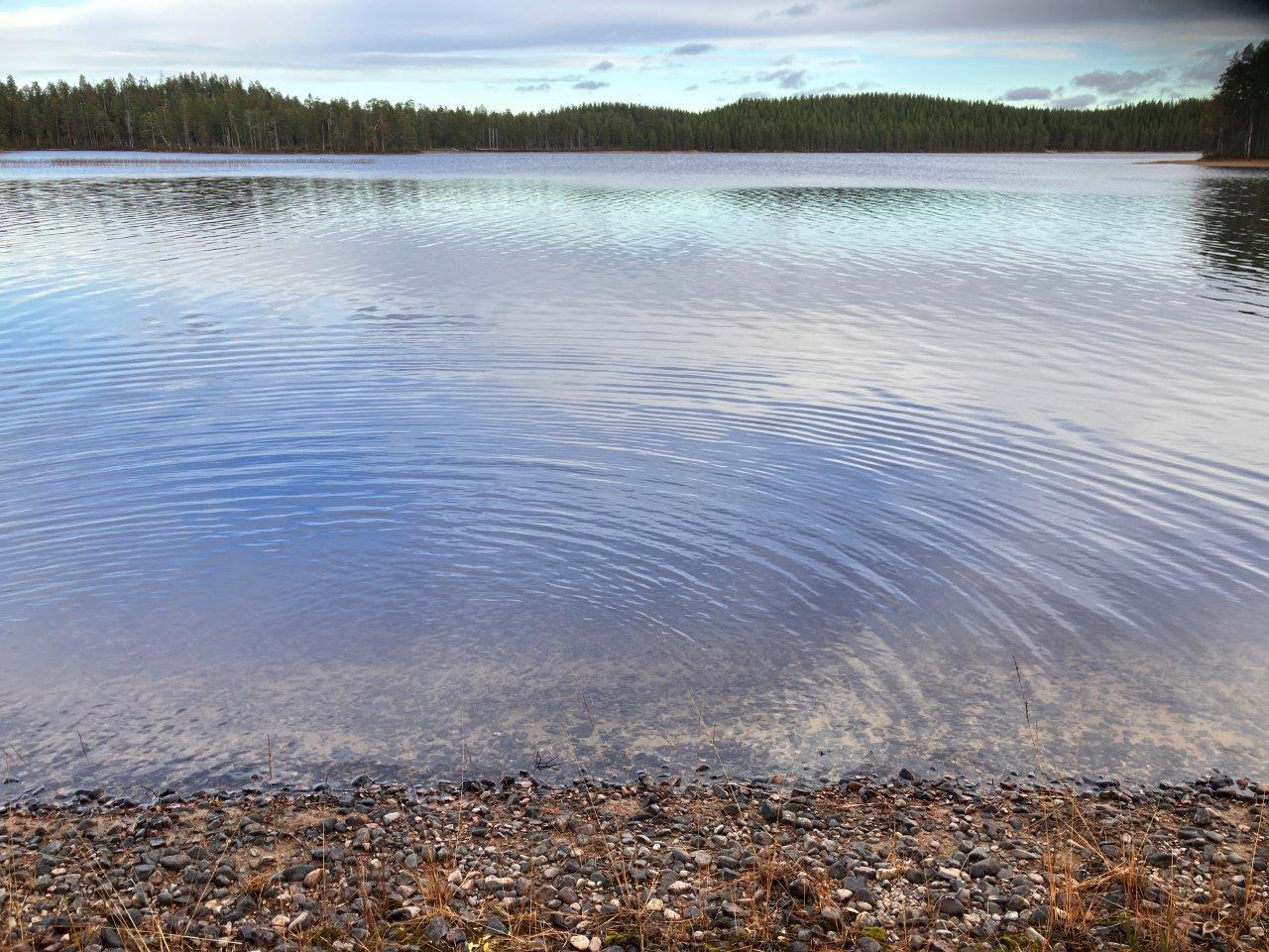 Järvenrantaa