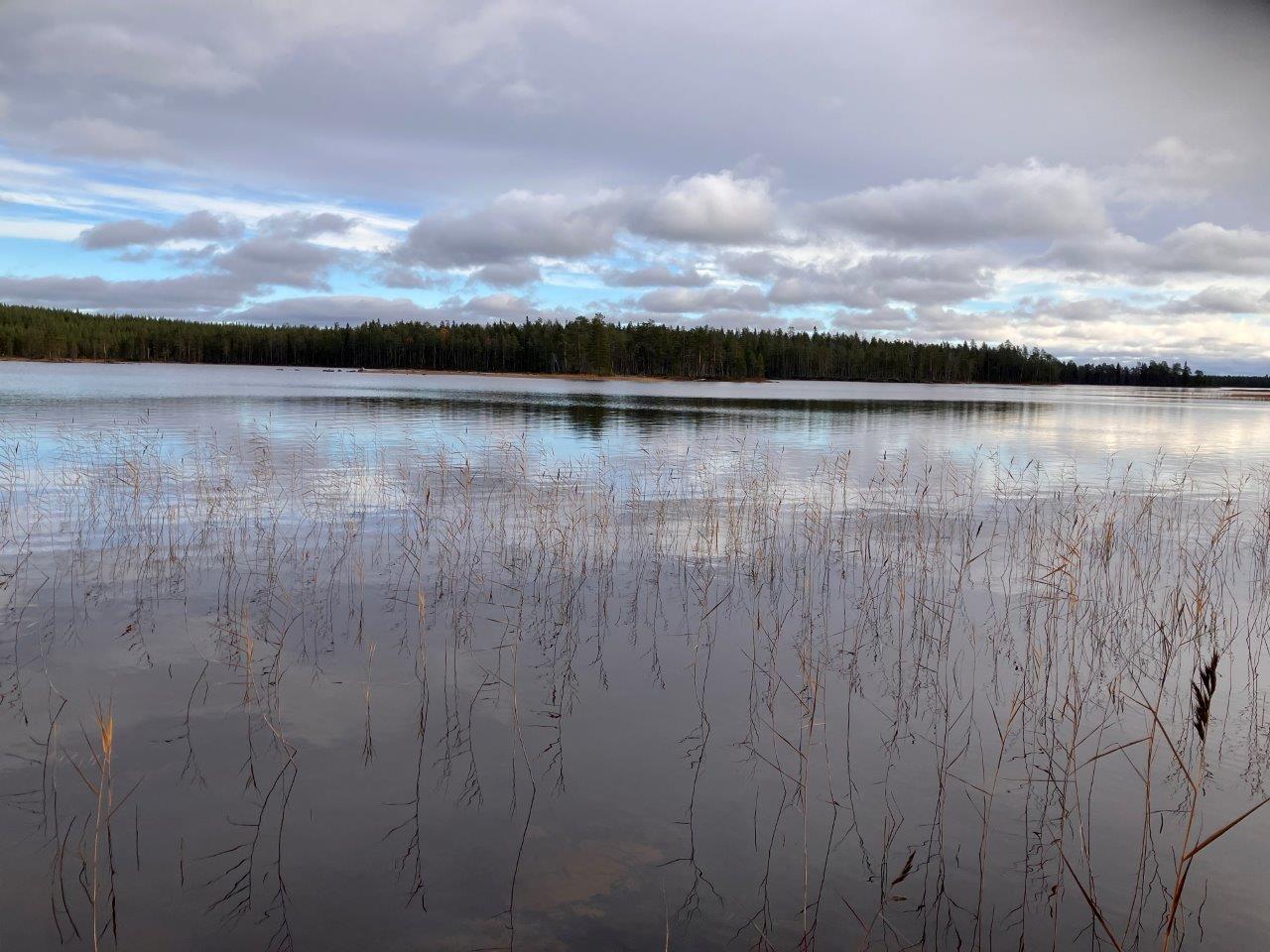 järvivesistöä