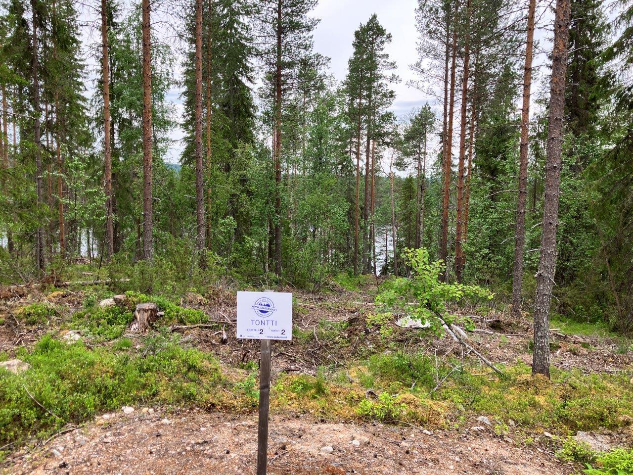 Mäntymetsää