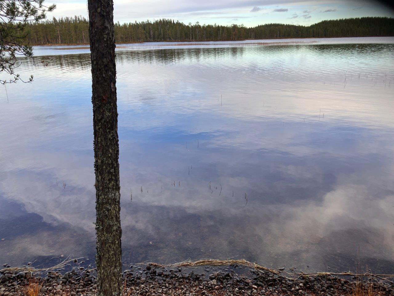 Järven rantaa j
