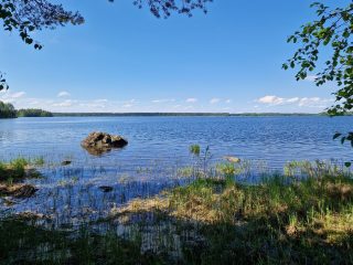 Näkymä järvelle