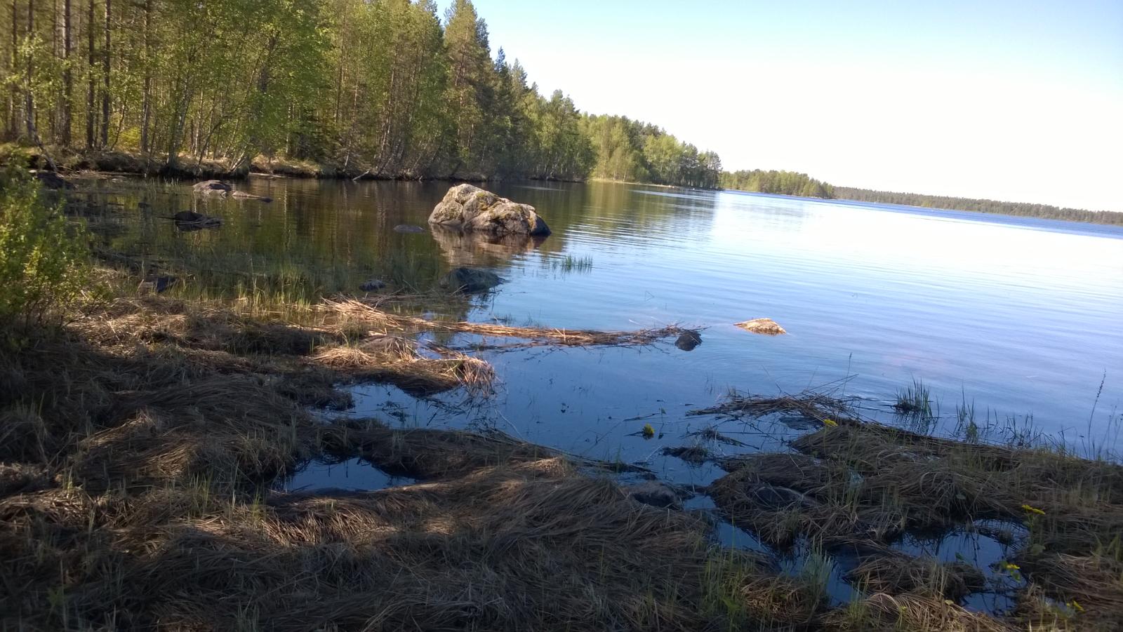 Rantaviivaa, kuvassa näkyy keskellä kivi