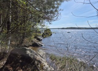 Järvimaisema, rannassa on isoja kivenlohkareita, puiden oksat työntyvät maisemaan.