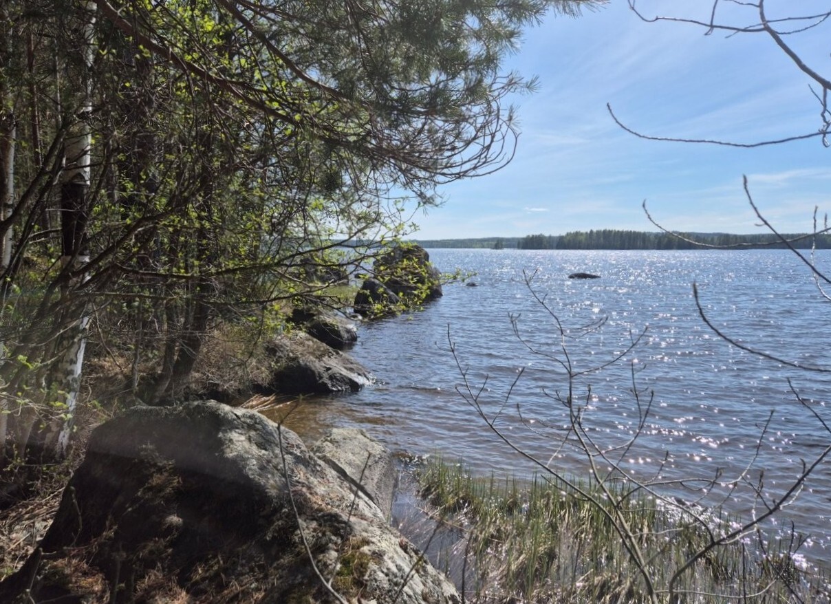 Järvimaisema, rannassa on isoja kivenlohkareita, puiden oksat työntyvät maisemaan.