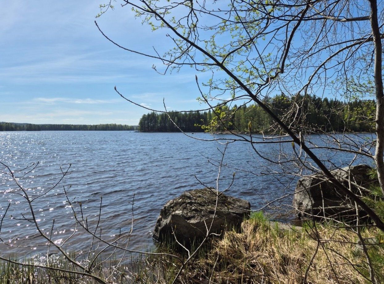 Järvimaisema, rannassa on isoja kivenlohkareita, puiden oksat työntyvät maisemaan.