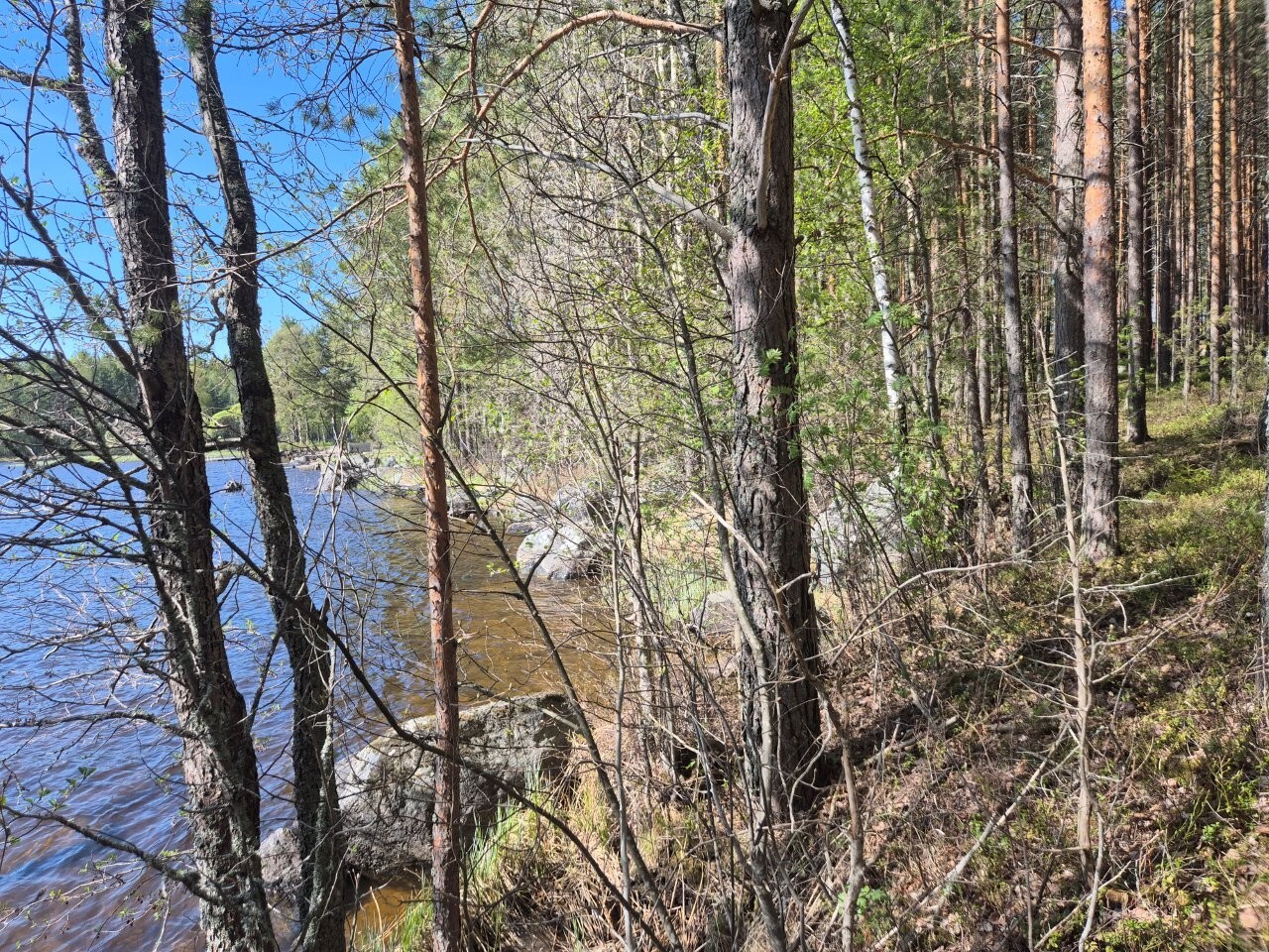 Rannalla kasvaa lehtipuita, rantavedessä on isoja kivenlohkareita.