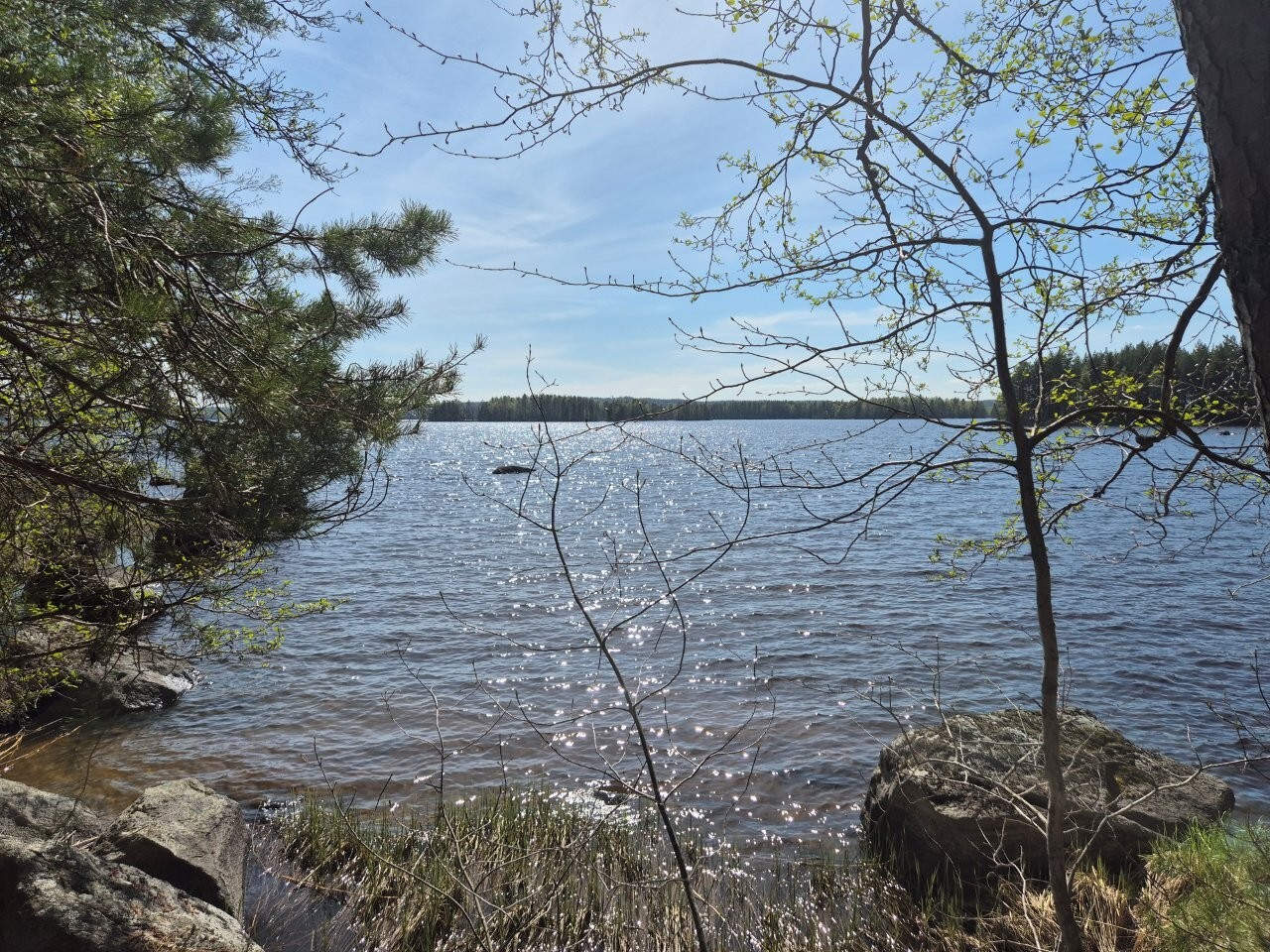Järvimaisema, rannassa on isoja kivenlohkareita, puiden oksat työntyvät maisemaan.