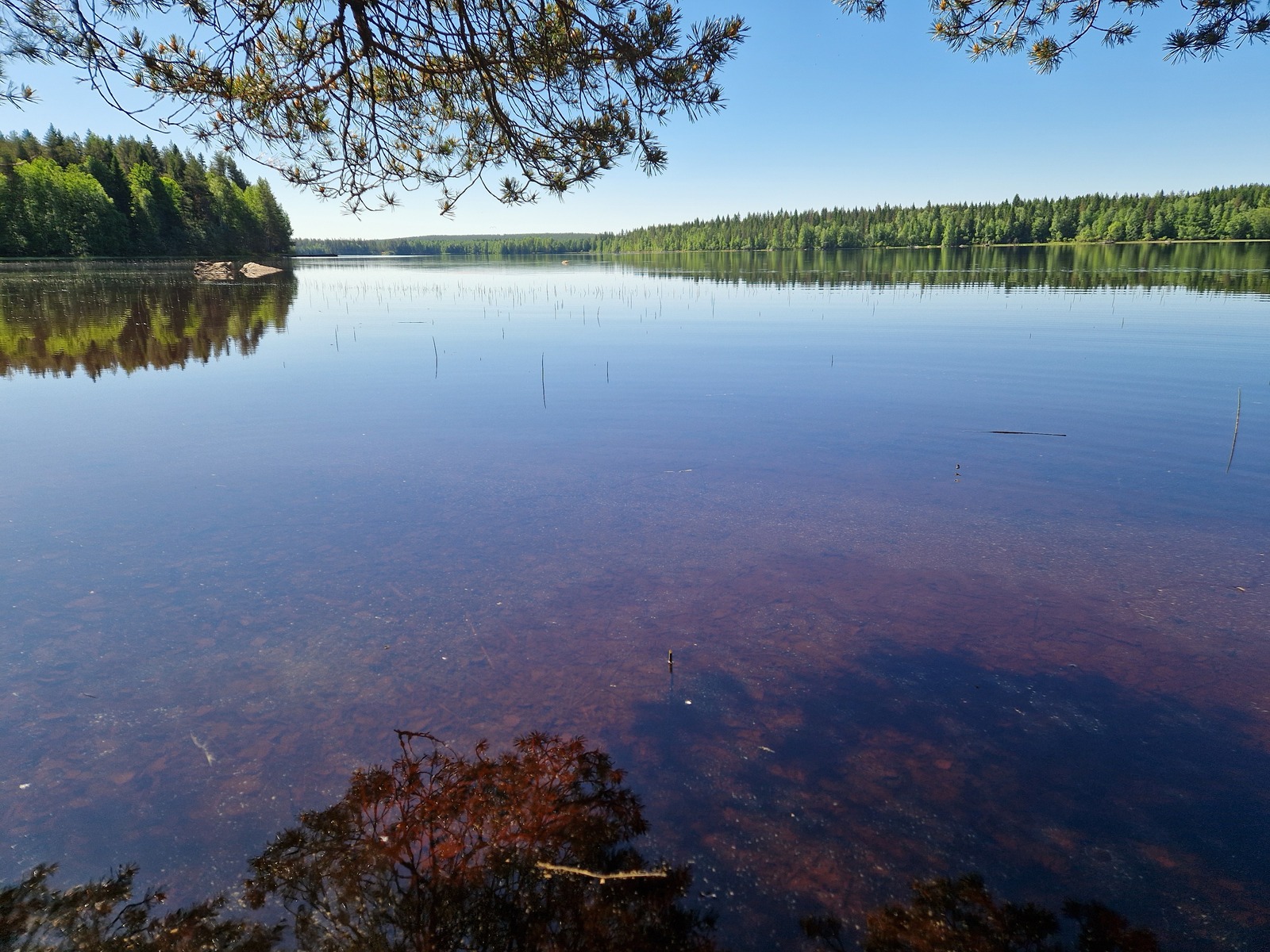 Kuvassa näkyy järven vastaranta ja Kannaksensaari.