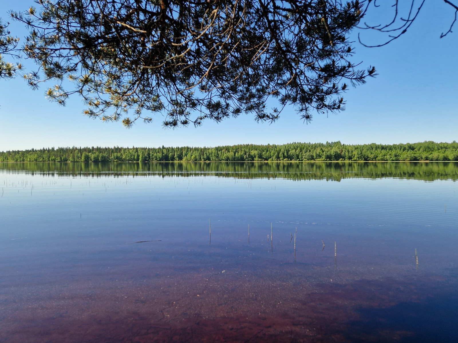 Kuvassa näkyy järven vastaranta ja kuvan etualalla näkyy järven pohjaa.