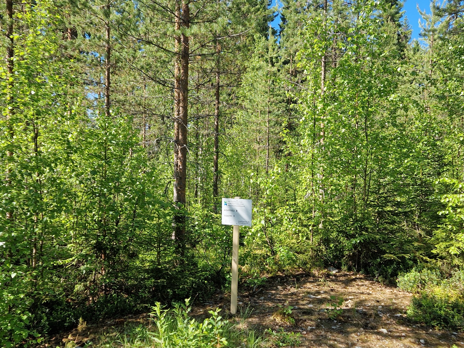 Kuvassa näkyy tonttitaulu, tontin 1 takamaastoa.
