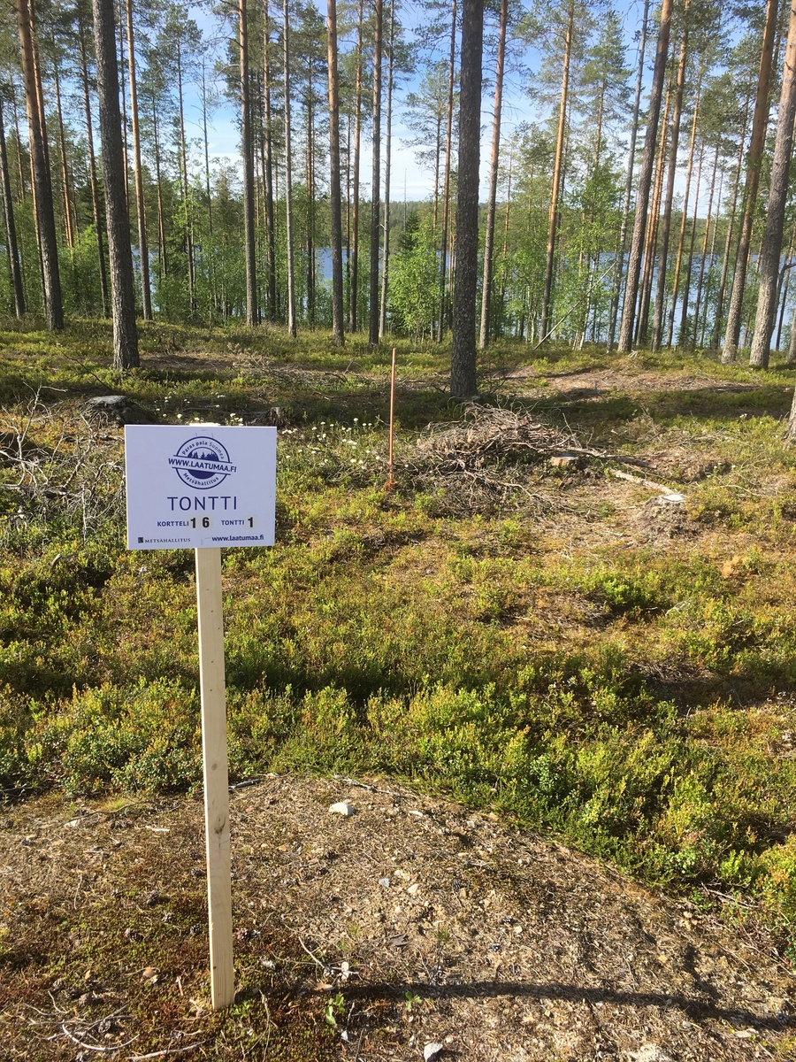 Mäntyvaltaisen metsän takana häämöttää järvimaisema. Etualalla on Laatumaan tonttikyltti.
