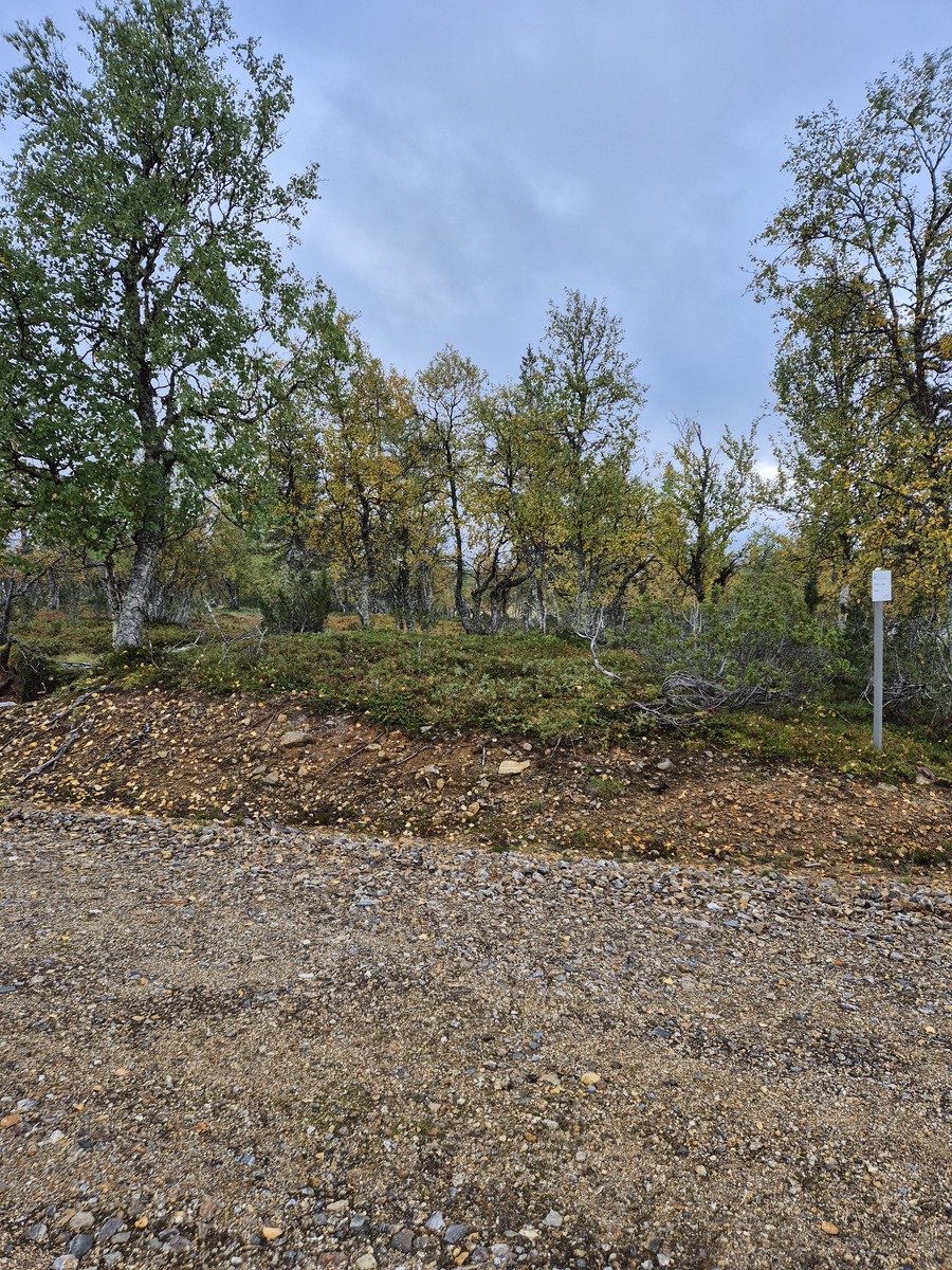 Kaavatieltä tontille