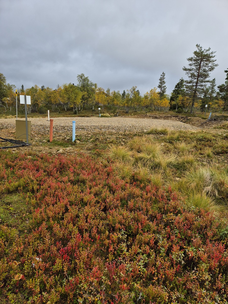 Tontin takaa kaavatielle