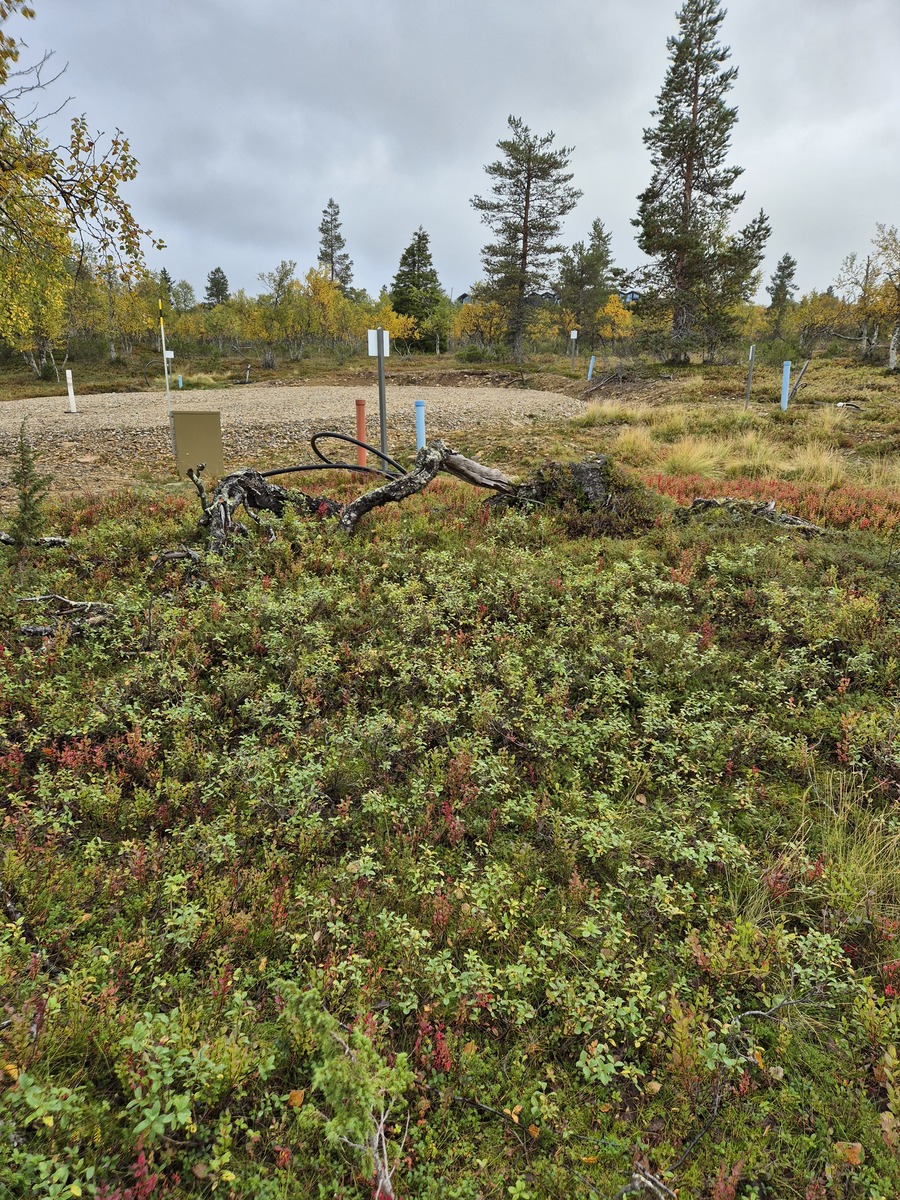 Tontilta kaavatielle