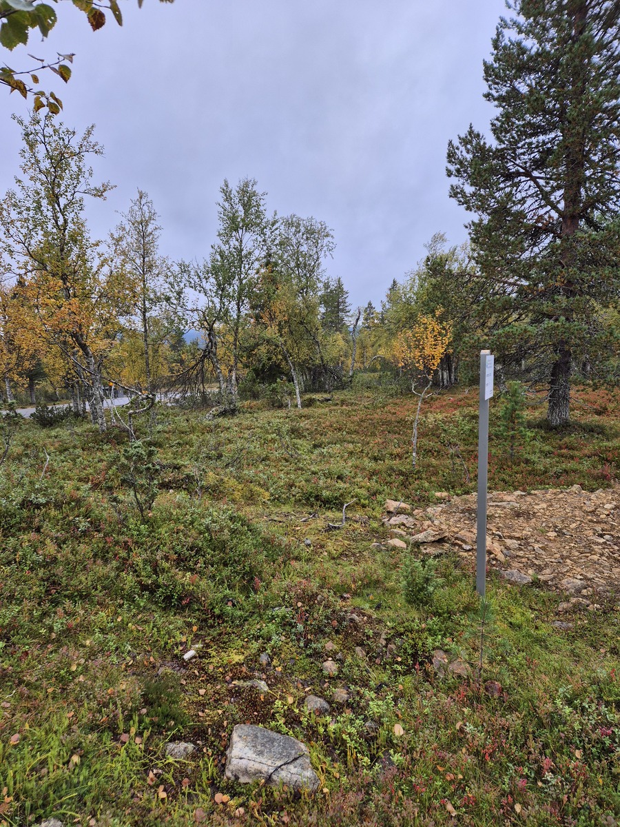 Kuvaa kaavatieltä tontille