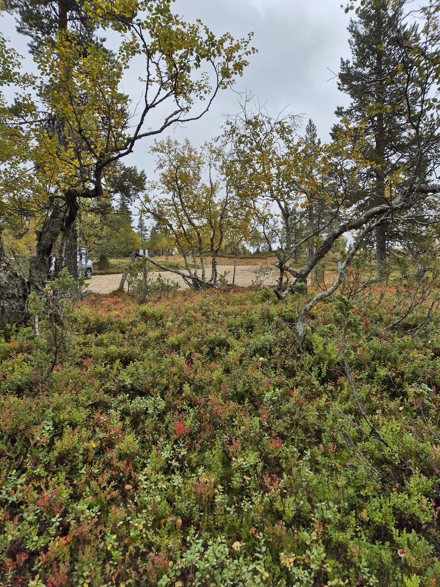 Tontilta kaavatielle