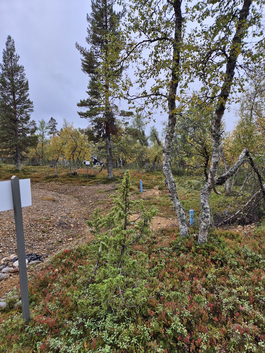 Kuva tontilta kaavatielle