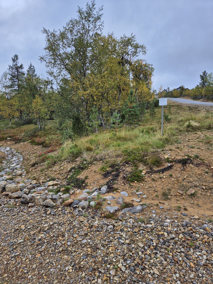 Kaavatieltä tontille