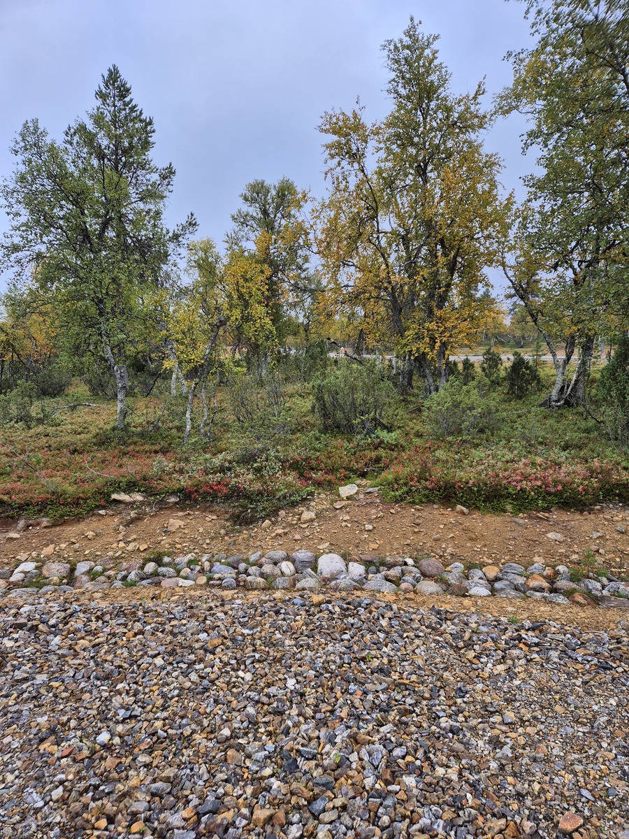 Kaavatieltä tontille