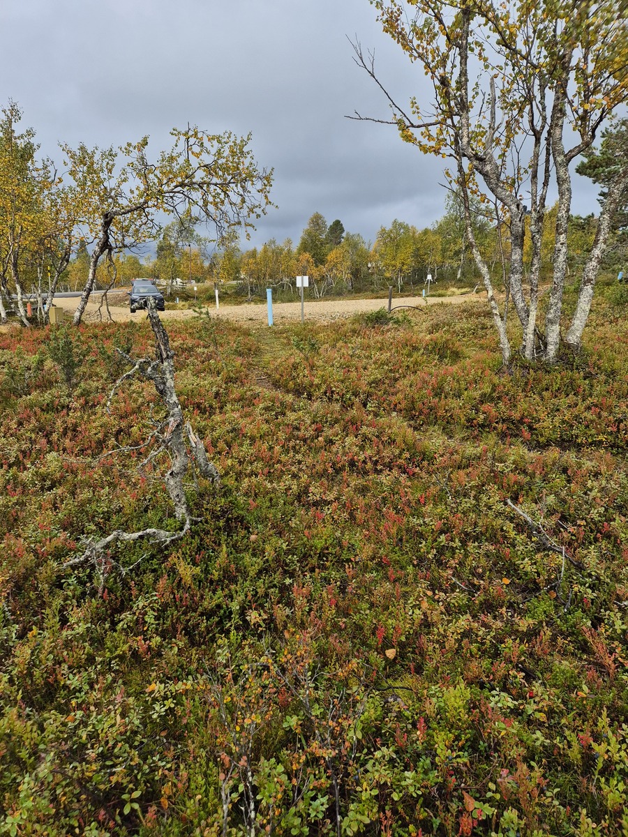 Tontilta kaavatielle