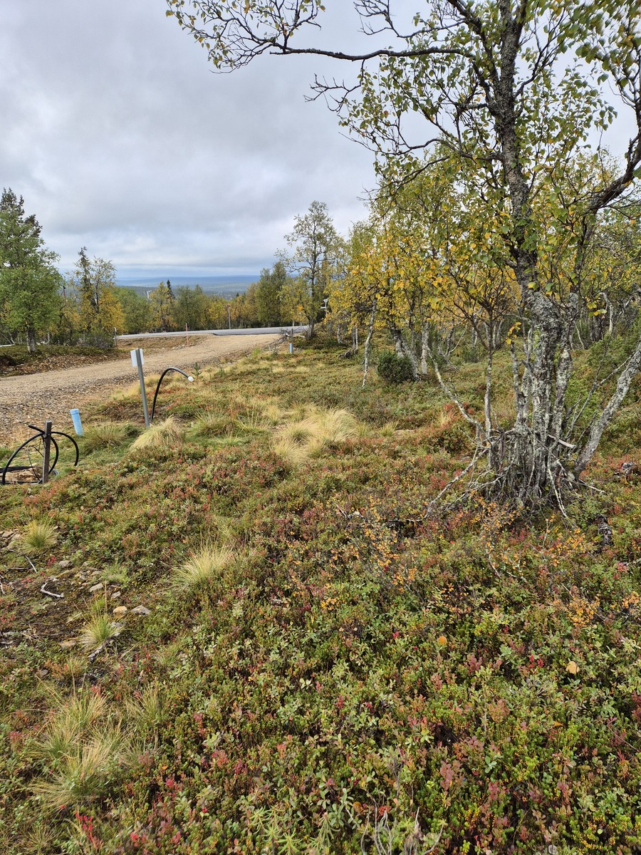 Tontilta kaavatielle