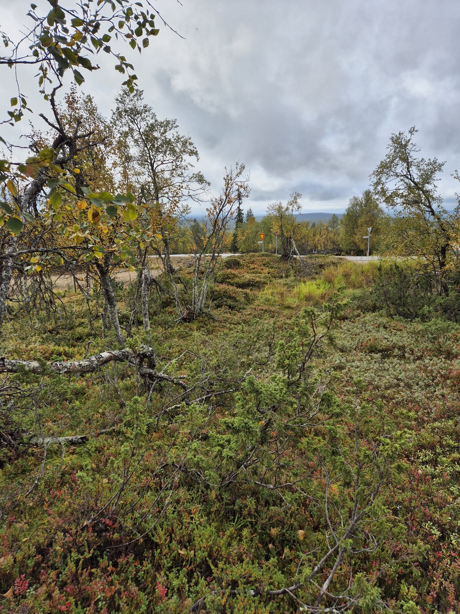 Tontilta kaavatielle