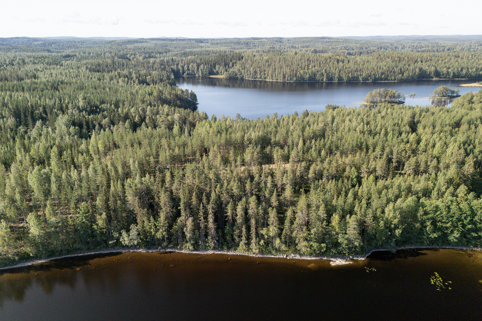 Ilmakuvassa metsää silmänkantamattomiin, järven vesi on kirkasta.