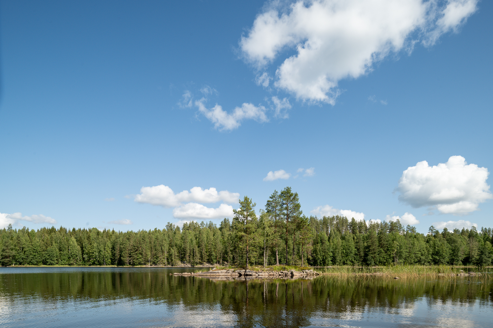 Järvellä on pieni saari, jolla kasvaa muutama mänty.