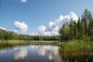 Rantavedessä oikealla kasvaa ruovikkoa, järven salmen molemmilla rannoilla kasvaa puita.