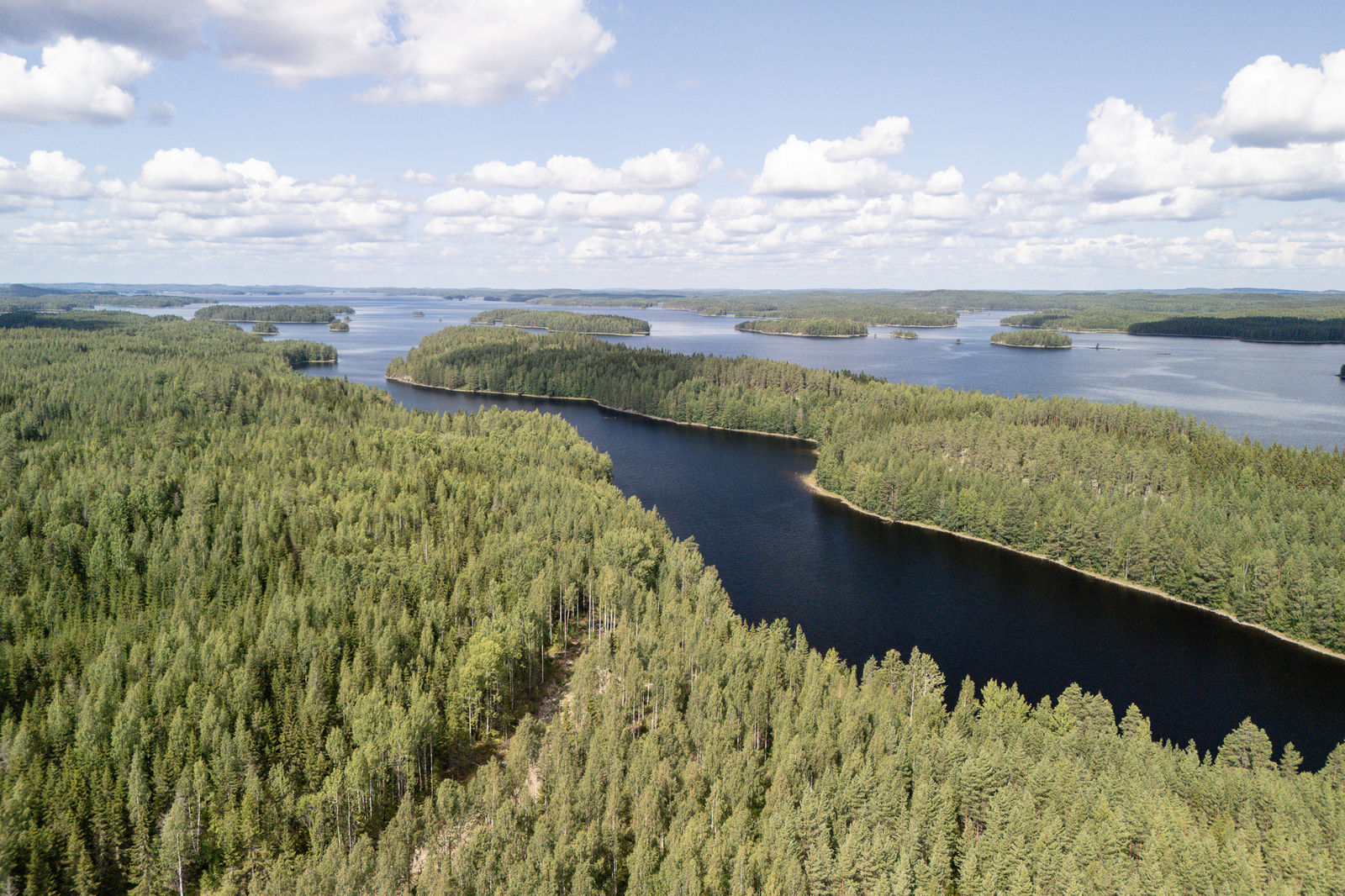 Ilmakuvaa Pirttisalmesta, metsässä erottuu tonttitie.
