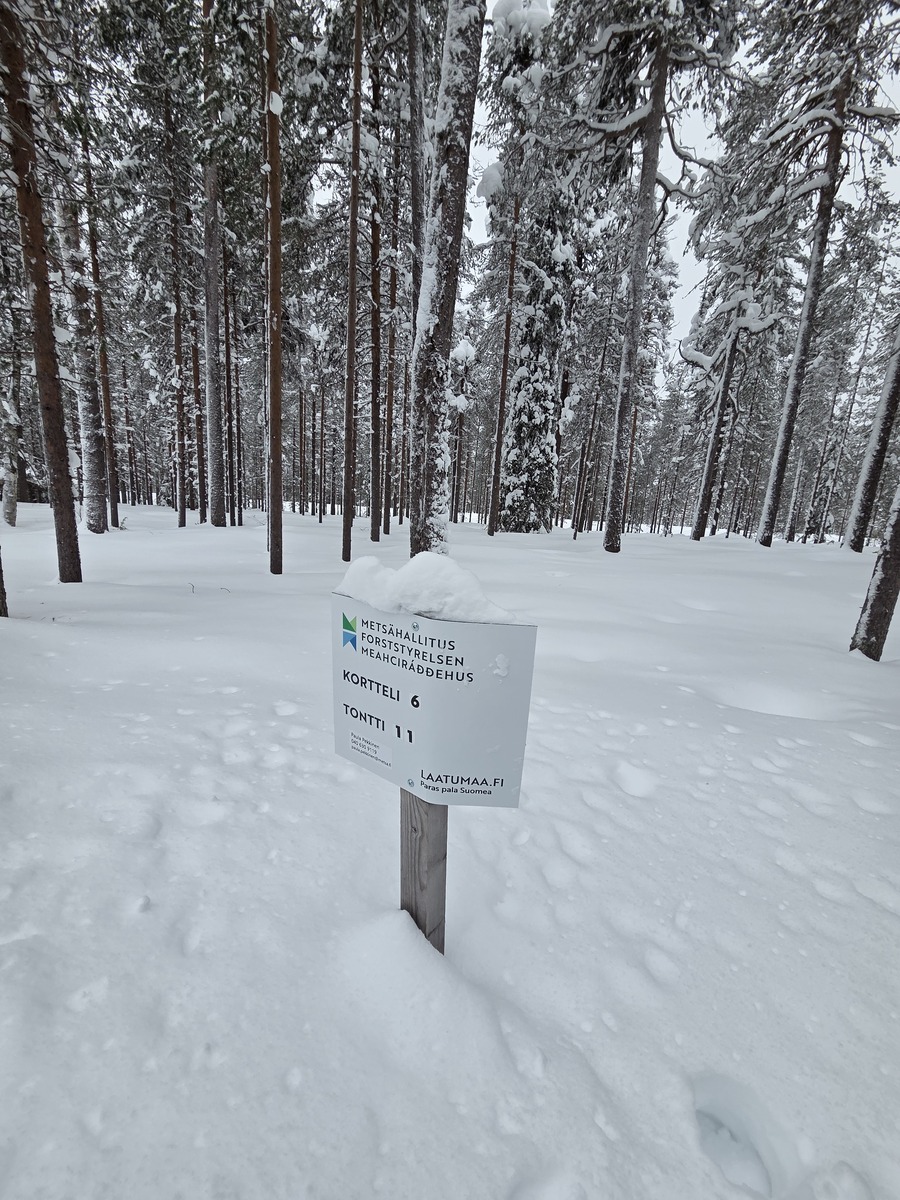 Talvikuva tontilta.
