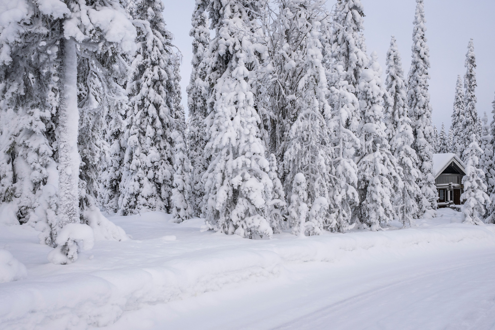 Talvikuva.
