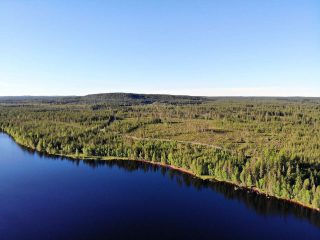 Ilmakuva jossa auringossa kylpevää metsää sekä sinisenä hehkuva järvi ja pilvetön taivas.