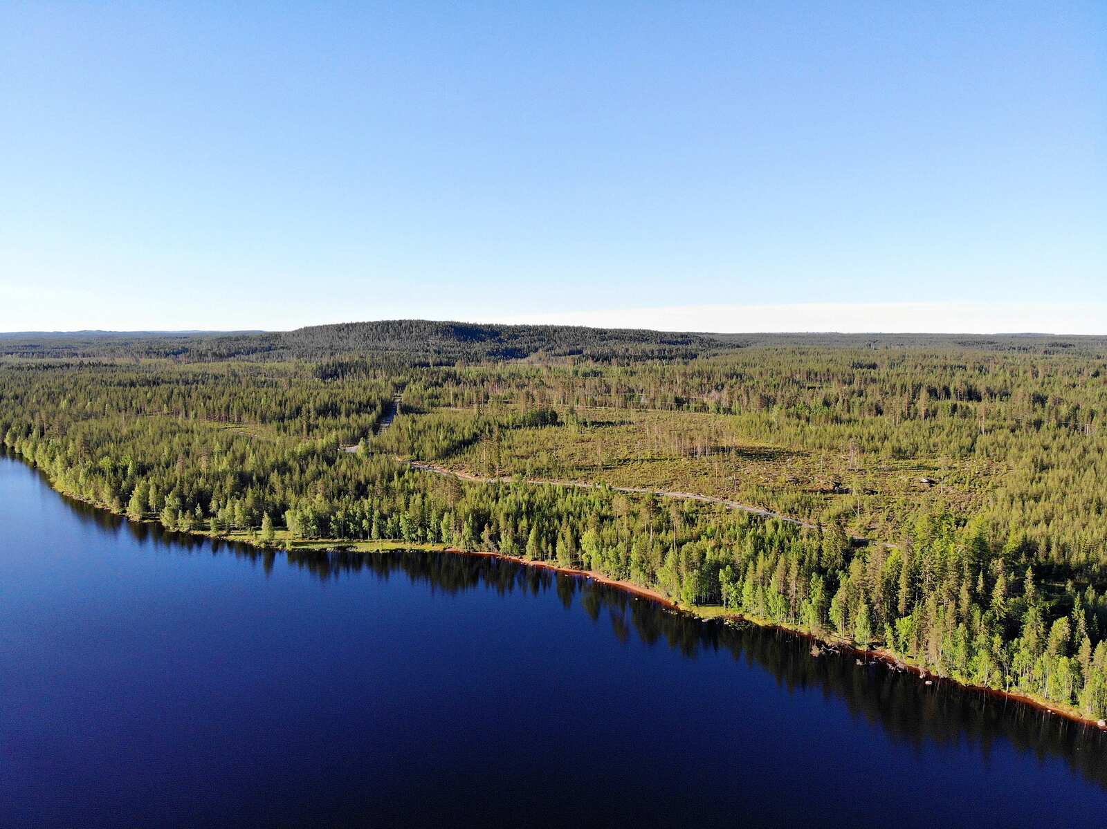 Ilmakuva jossa auringossa kylpevää metsää sekä sinisenä hehkuva järvi ja pilvetön taivas.