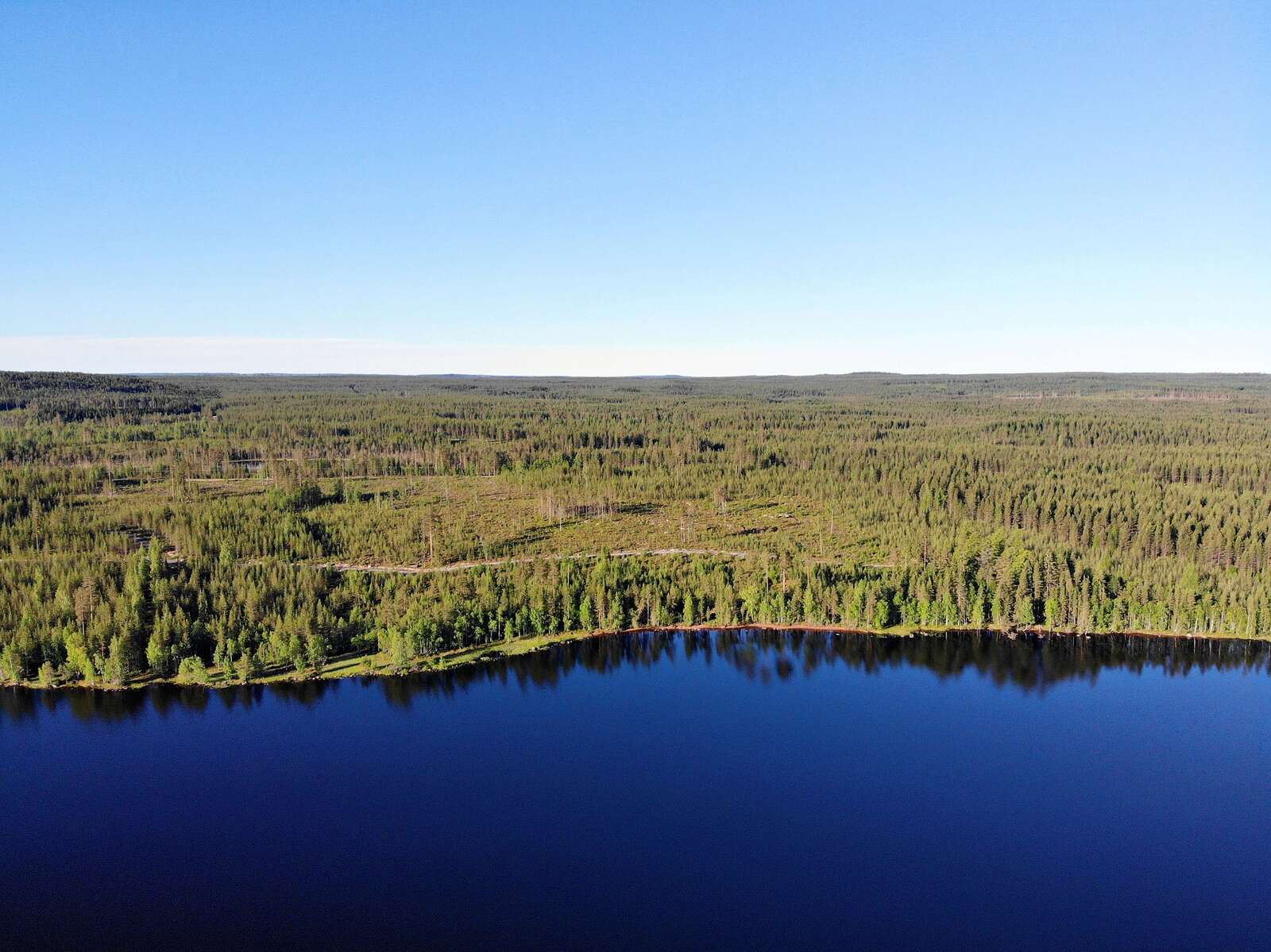 Ilmakuva järveltä mantereen suuntaan, vihreää metsää sekä sinisenä hehkuva järvi.