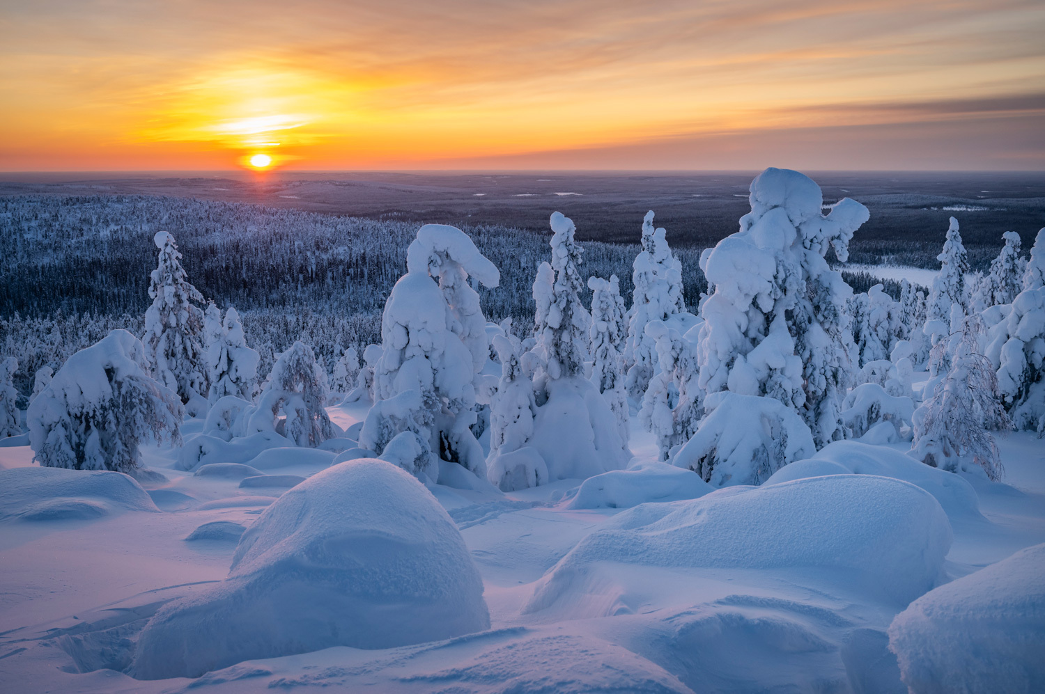 Yleiskuvaa Syötteeltä.