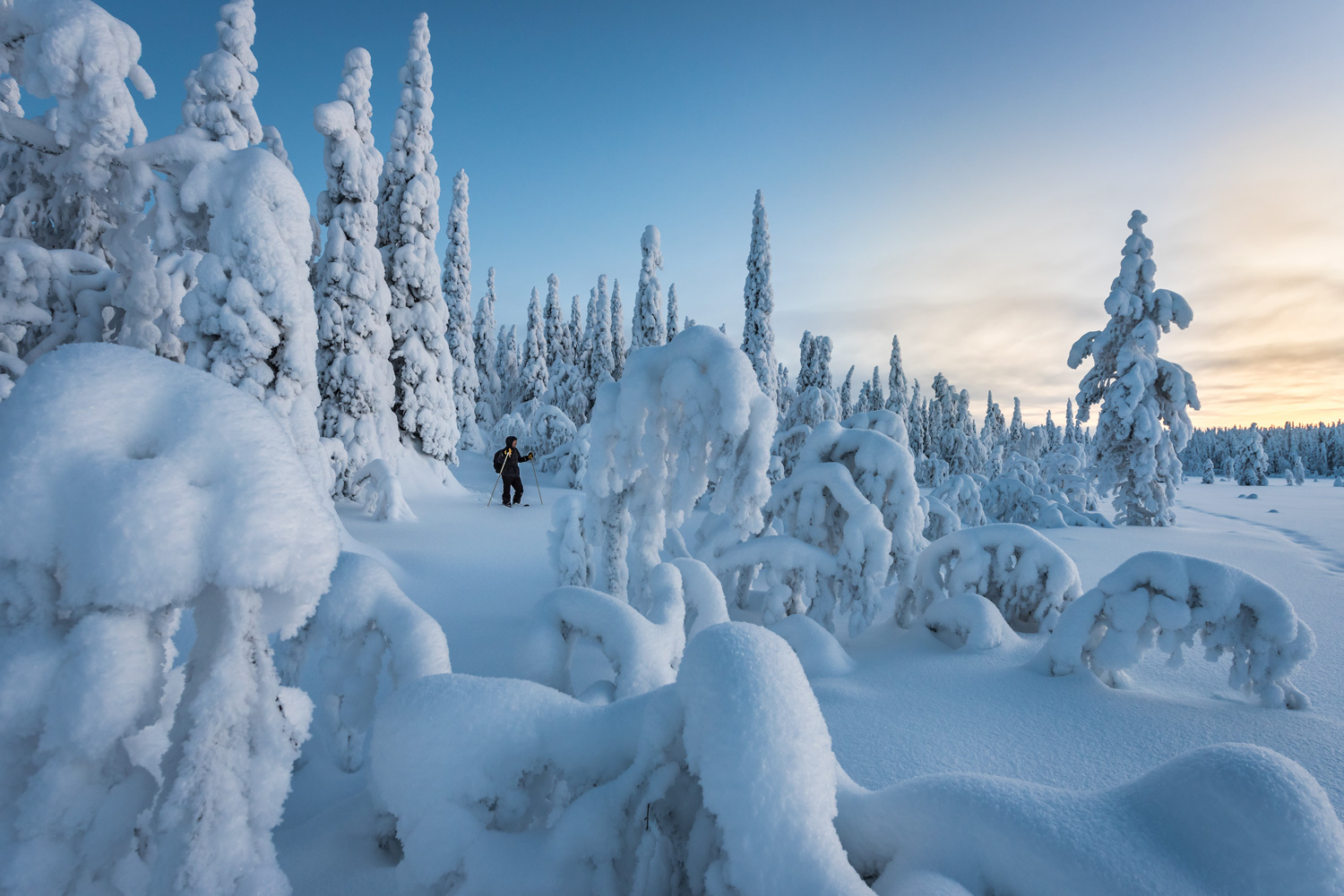 Hiihtelijä Syötteen Lakisuolla.