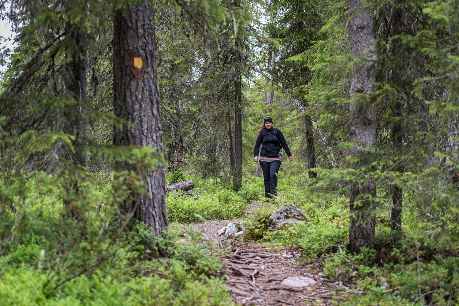Retkeilijä Syötteen poluilla.