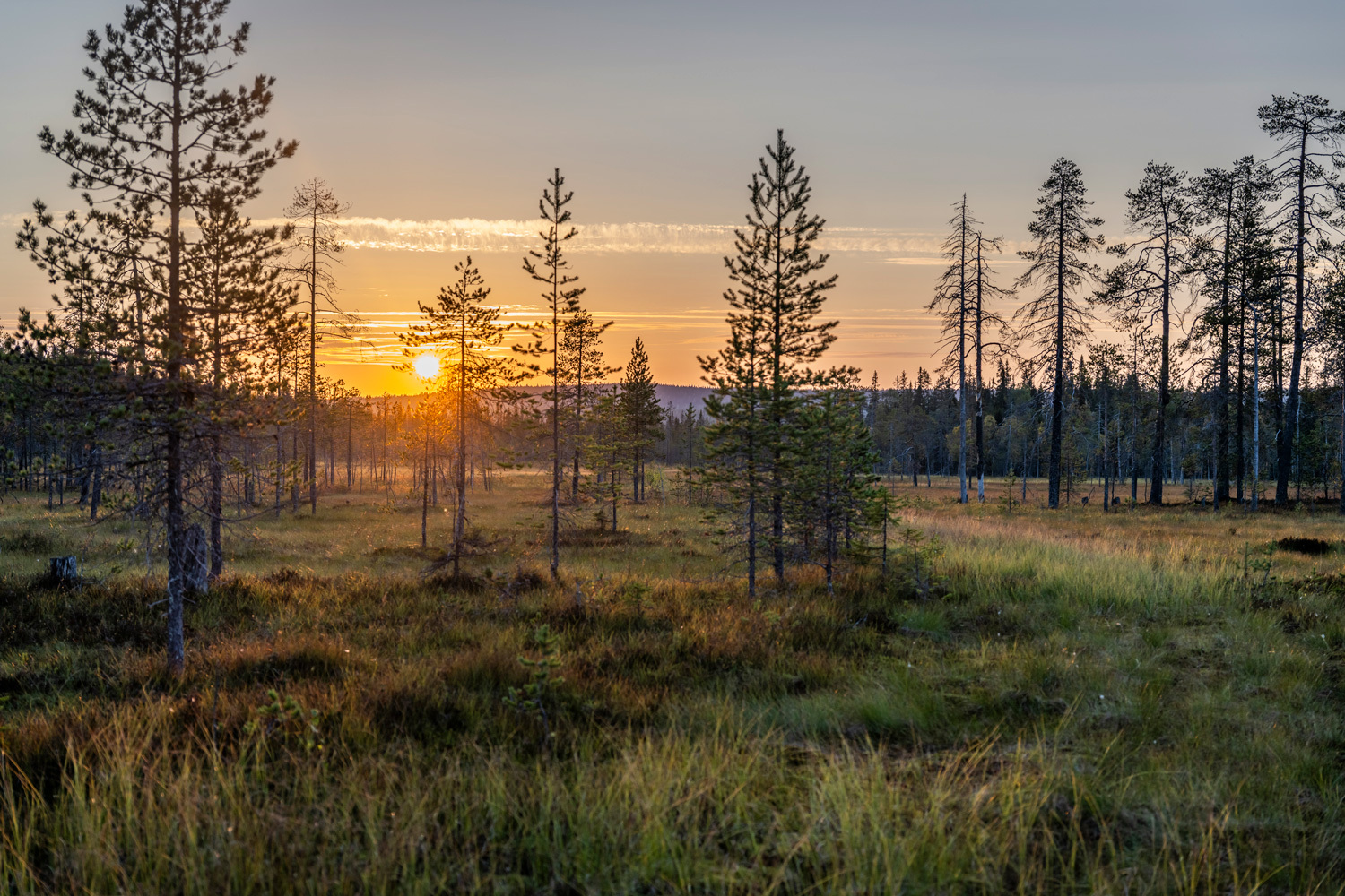 Yleiskuvaa Syötteeltä. Kesäkuva.