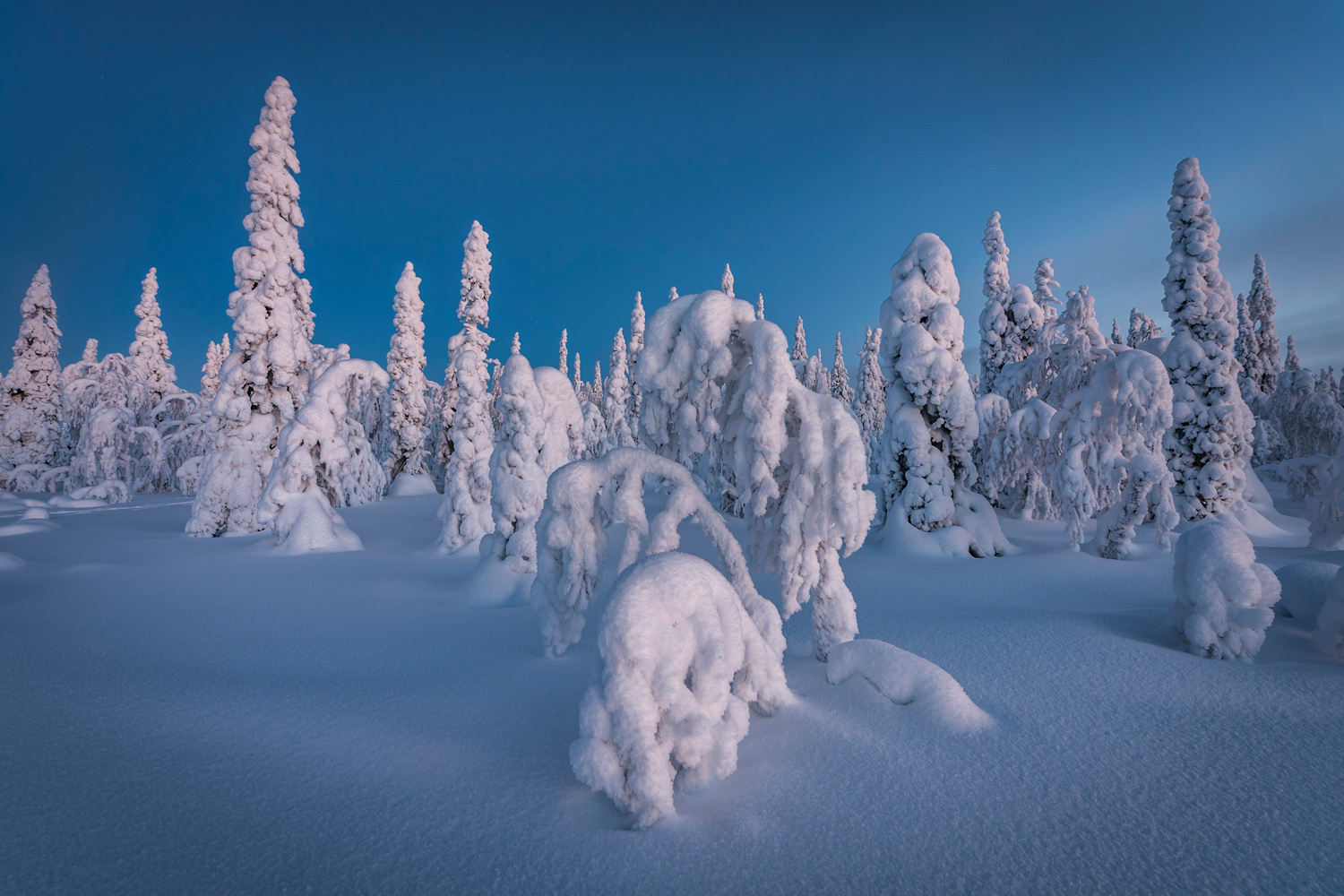Yleiskuvaa Syötteeltä. Talvikuva.